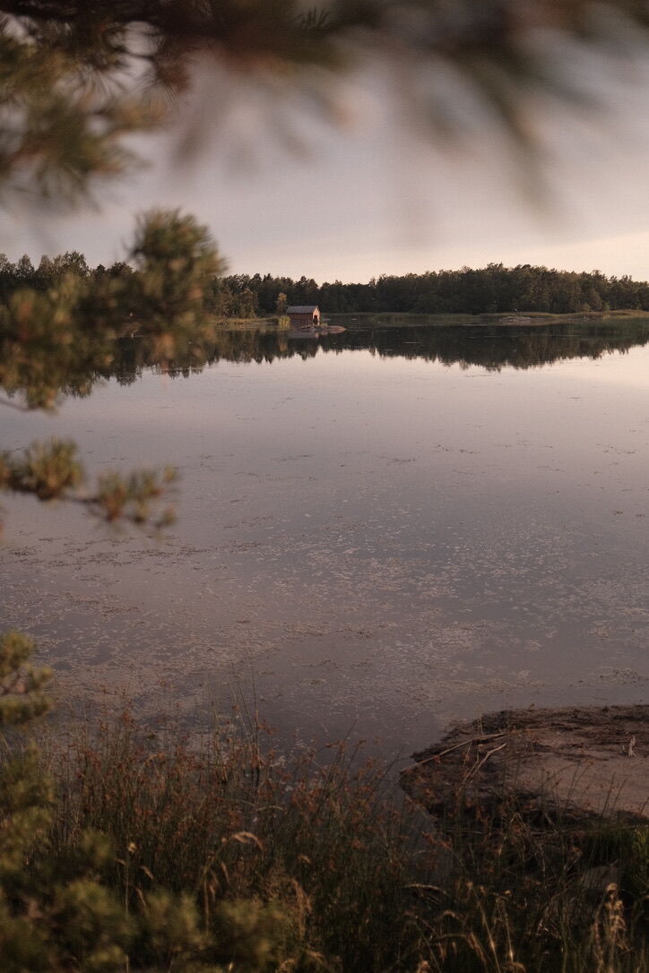 A serene lake with a small wooden cabin in the distance, surrounded by lush greenery and framed by pine branches, reflecting the tranquil morning light. The calm water mirrors the peaceful landscape, creating a sense of calm and serenity.