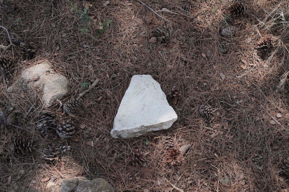 A triangular, white stone is placed on a pine forest floor, surrounded by pine needles and pine cones. The natural setting features a mix of brown pine needles and small pine cones scattered around the stone. The composition is centered on the stone, with the pine forest providing a natural background. The colors are predominantly brown and white, with the pine needles and cones adding a natural texture. The mood is serene and peaceful, highlighting the beauty of the natural environment. There is no text visible in the image.
